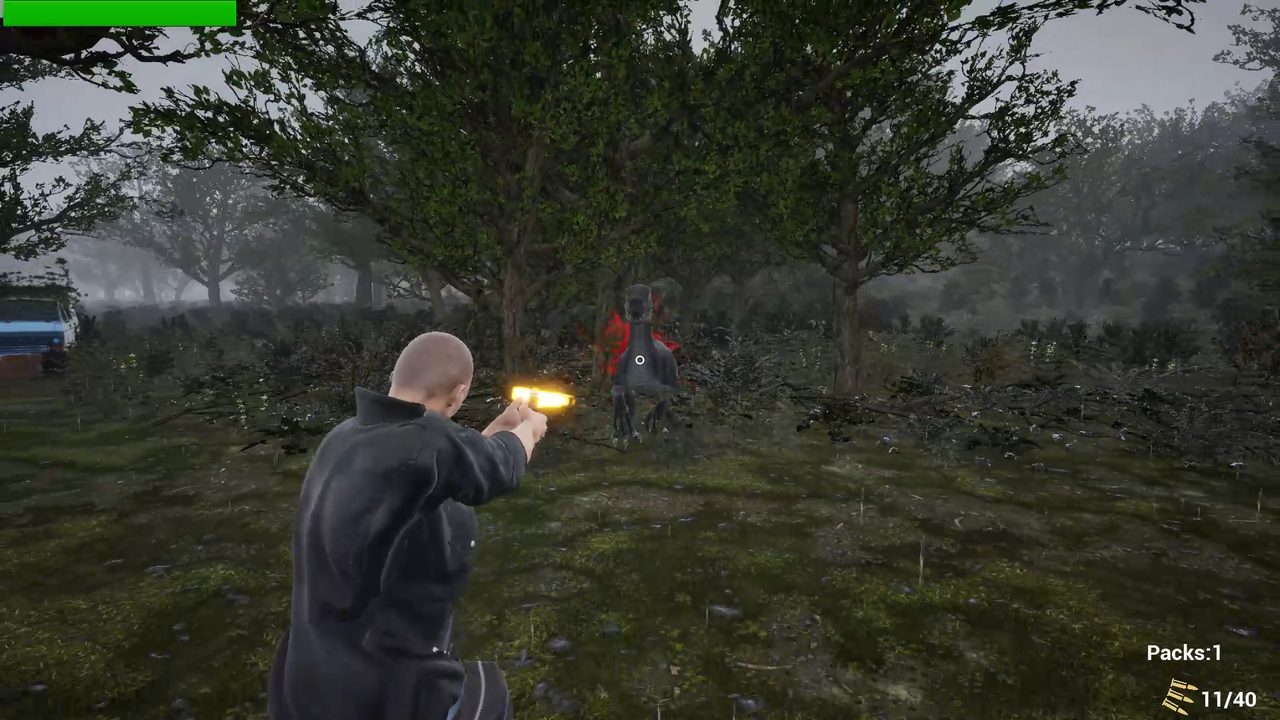 Firing a pistol at a raptor in a foggy forest